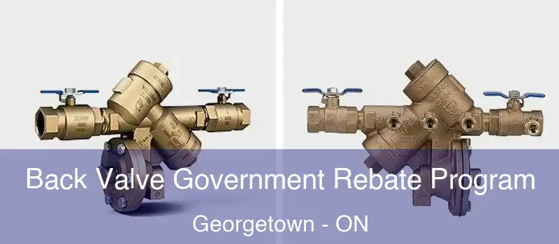  Back Valve Government Rebate Program Georgetown - ON