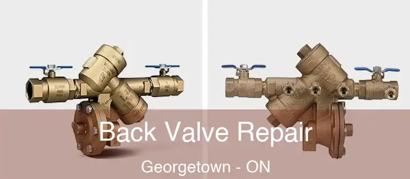  Back Valve Repair Georgetown - ON