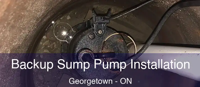  Backup Sump Pump Installation Georgetown - ON