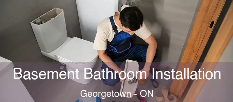  Basement Bathroom Installation Georgetown - ON