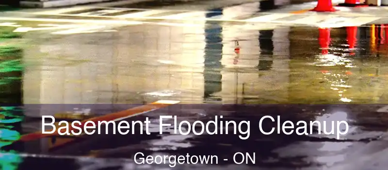  Basement Flooding Cleanup Georgetown - ON