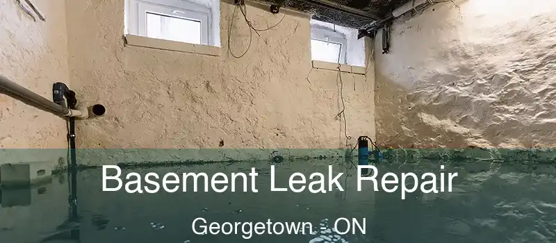  Basement Leak Repair Georgetown - ON