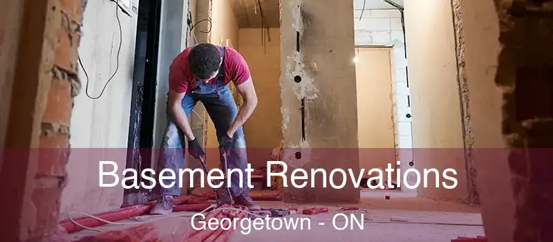 Basement Renovations Georgetown - ON