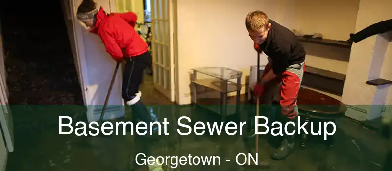 Basement Sewer Backup Georgetown - ON