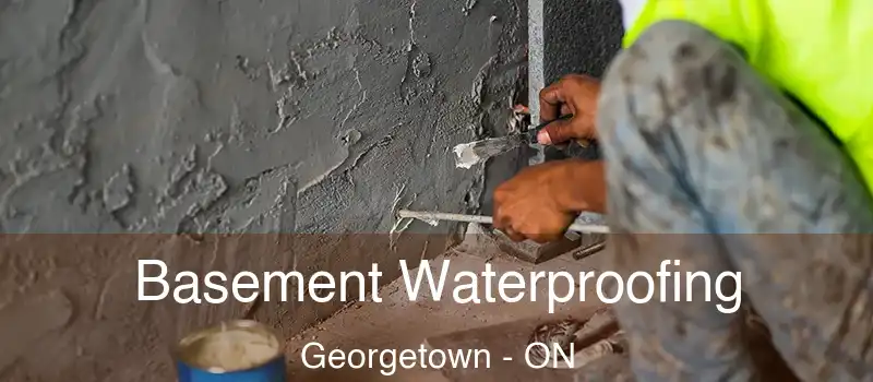  Basement Waterproofing Georgetown - ON