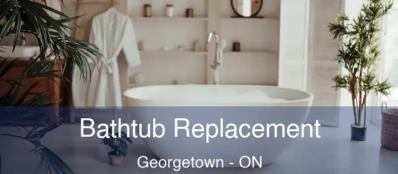  Bathtub Replacement Georgetown - ON
