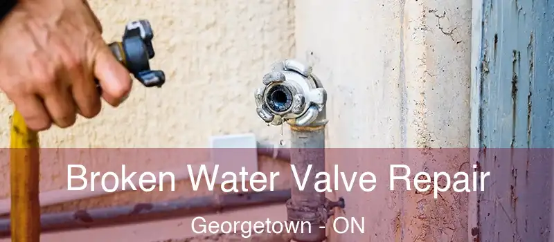  Broken Water Valve Repair Georgetown - ON
