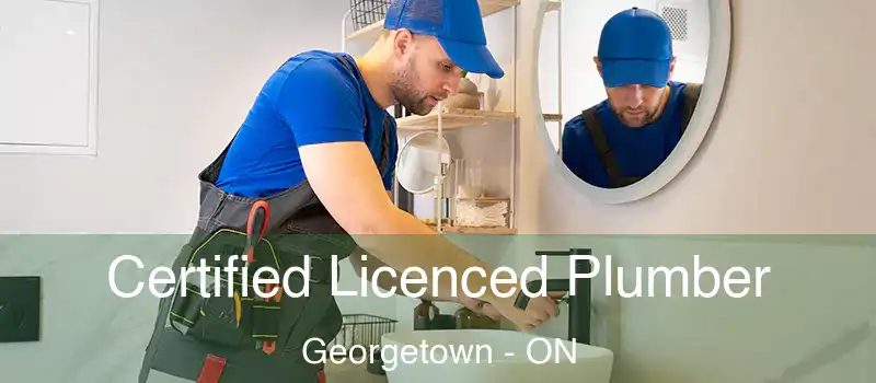  Certified Licenced Plumber Georgetown - ON