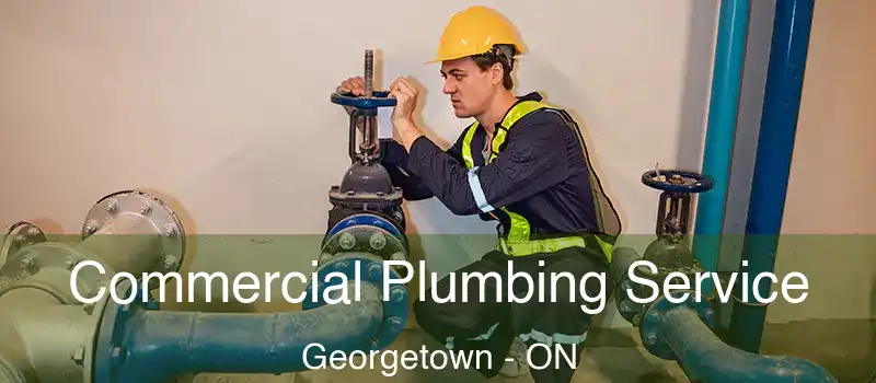  Commercial Plumbing Service Georgetown - ON