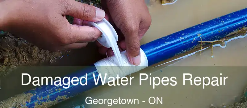  Damaged Water Pipes Repair Georgetown - ON