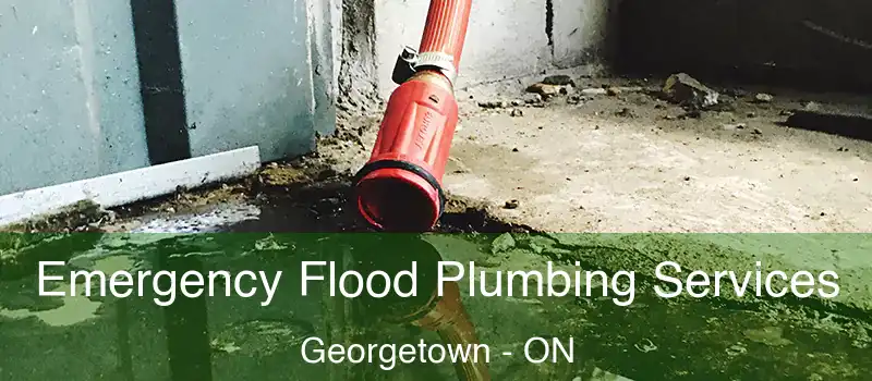  Emergency Flood Plumbing Services Georgetown - ON