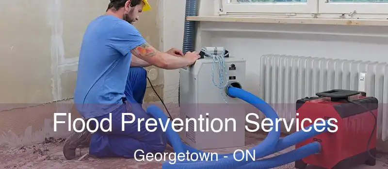  Flood Prevention Services Georgetown - ON