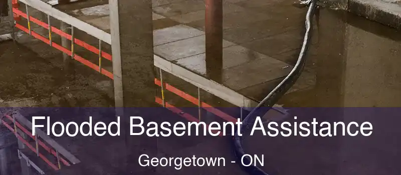  Flooded Basement Assistance Georgetown - ON