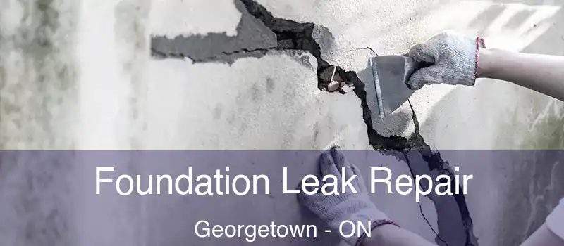  Foundation Leak Repair Georgetown - ON