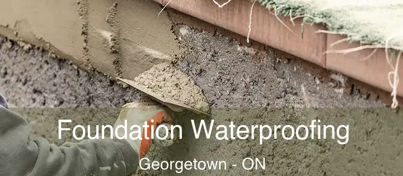  Foundation Waterproofing Georgetown - ON