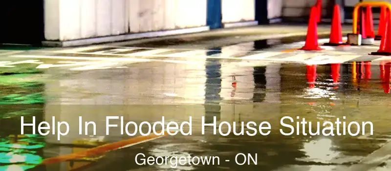  Help In Flooded House Situation Georgetown - ON
