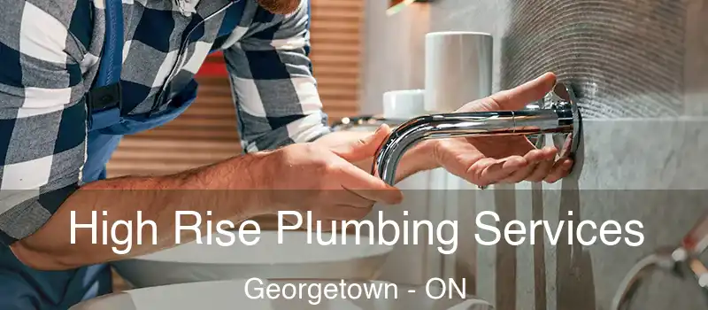  High Rise Plumbing Services Georgetown - ON