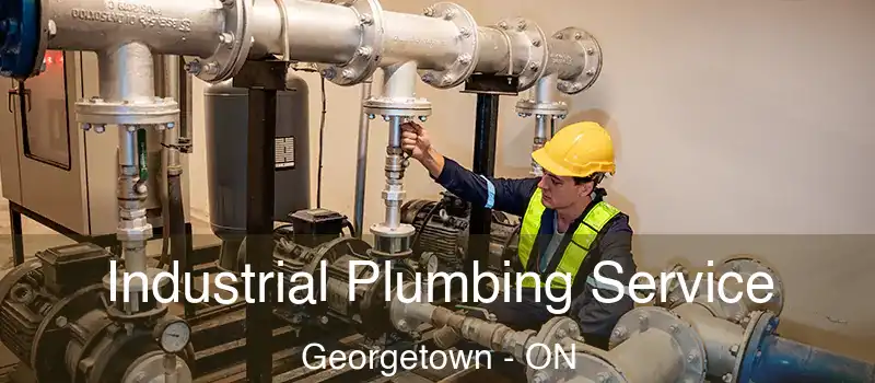  Industrial Plumbing Service Georgetown - ON