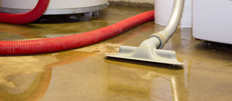 Professional Sewer Backup Cleanup Services in Georgetown, ON