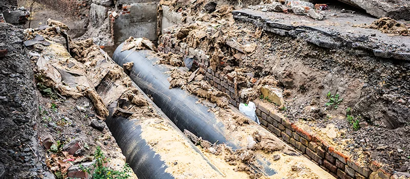 Commercial Sewer Tree Roots Damage Solutions in Georgetown, ON