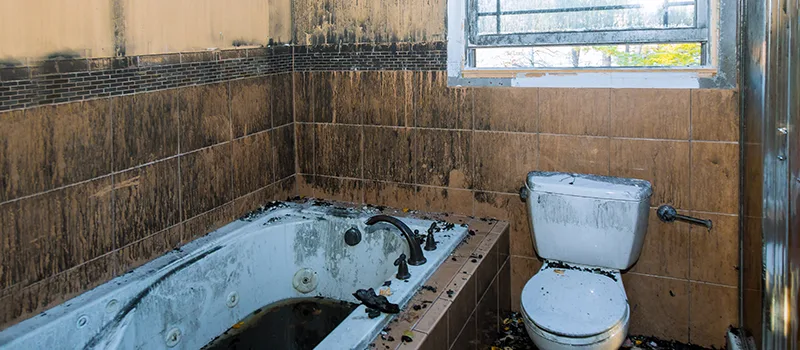 Residential Water Damage Restoration in Georgetown, ON