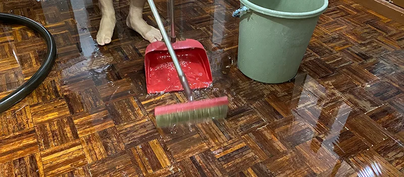 Water Removal And Restoration Services in Georgetown, ON