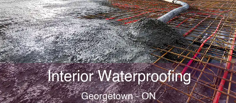  Interior Waterproofing Georgetown - ON