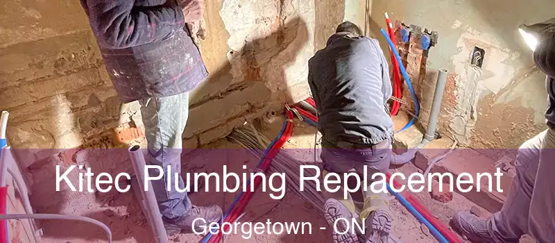  Kitec Plumbing Replacement Georgetown - ON
