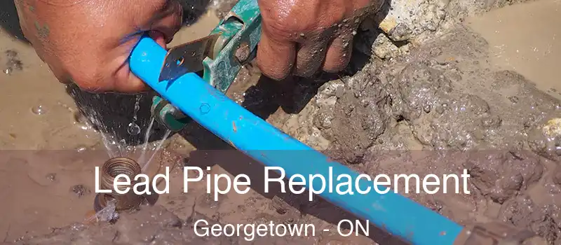  Lead Pipe Replacement Georgetown - ON