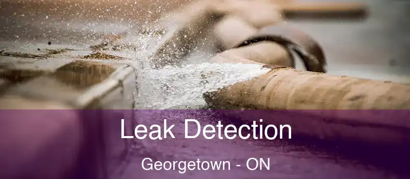 Leak Detection Georgetown - ON