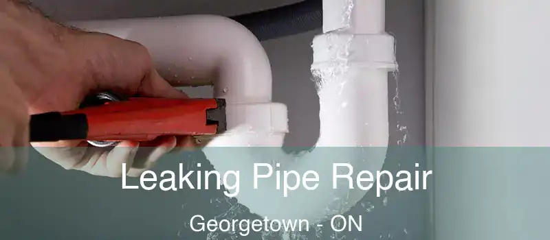  Leaking Pipe Repair Georgetown - ON