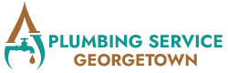 Top Rated Plumbing Service in Georgetown