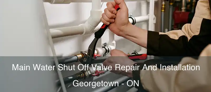  Main Water Shut Off Valve Repair And Installation Georgetown - ON