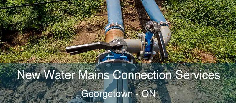  New Water Mains Connection Services Georgetown - ON