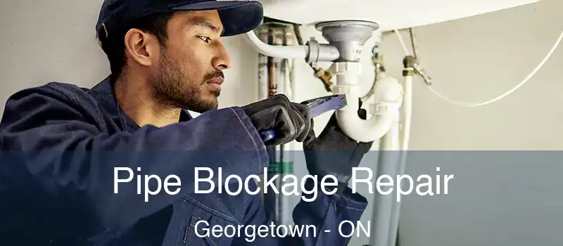  Pipe Blockage Repair Georgetown - ON