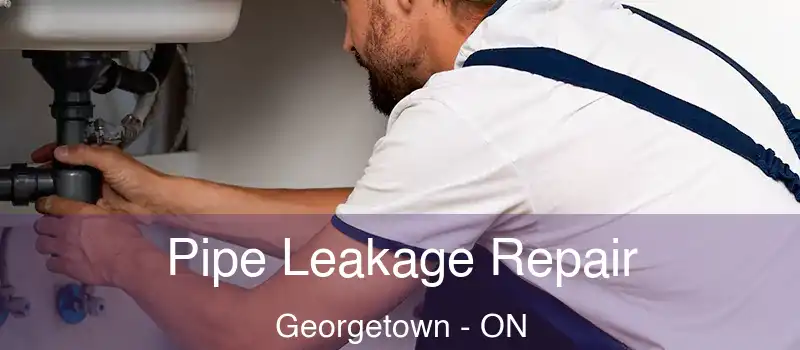  Pipe Leakage Repair Georgetown - ON