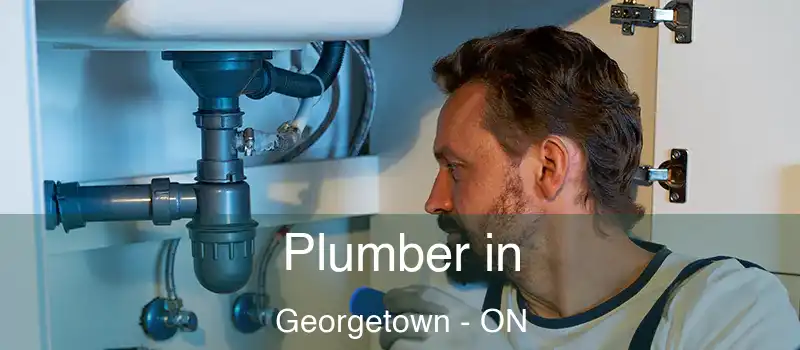  Plumber in Georgetown - ON