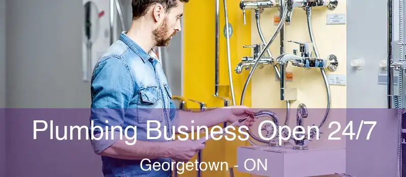  Plumbing Business Open 24/7 Georgetown - ON