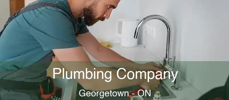  Plumbing Company Georgetown - ON