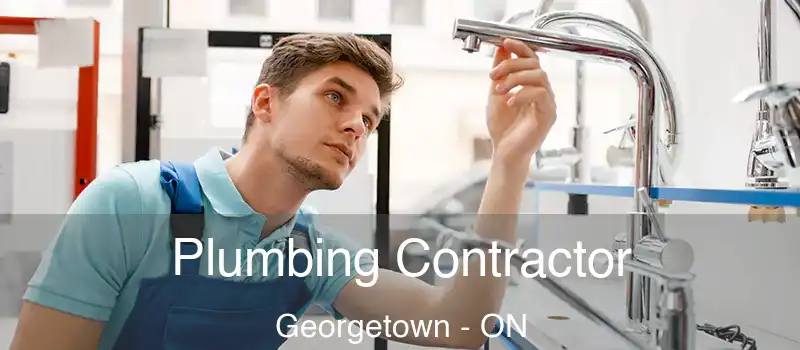 Plumbing Contractor Georgetown - ON