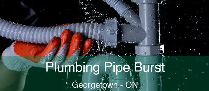  Plumbing Pipe Burst Georgetown - ON