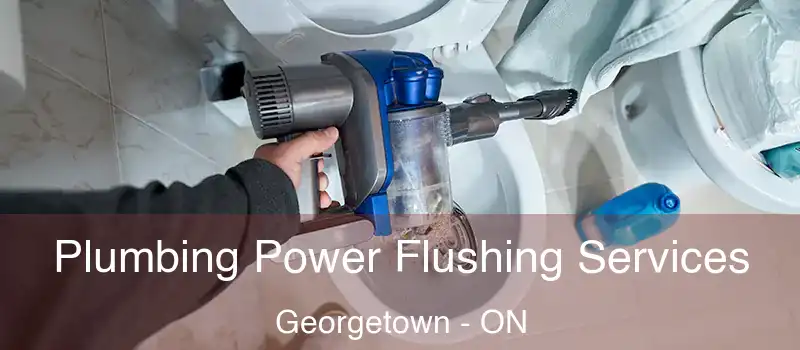  Plumbing Power Flushing Services Georgetown - ON