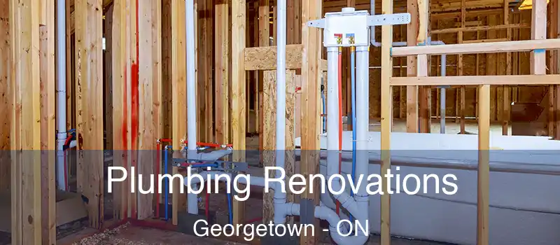  Plumbing Renovations Georgetown - ON