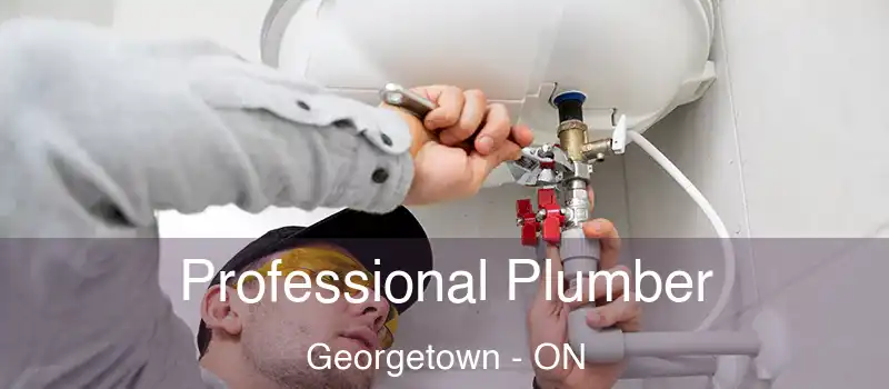  Professional Plumber Georgetown - ON