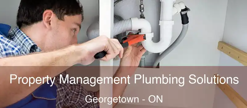  Property Management Plumbing Solutions Georgetown - ON