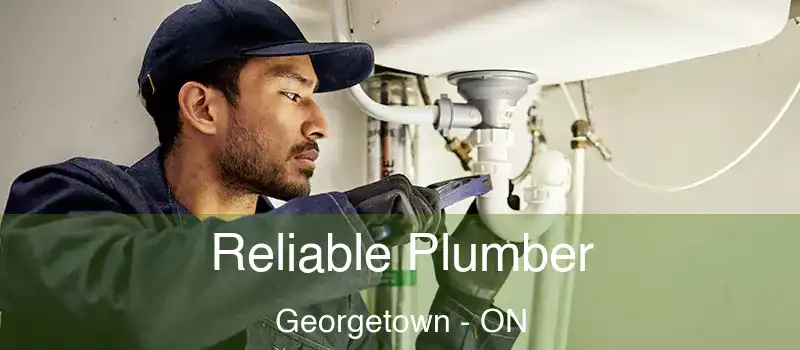  Reliable Plumber Georgetown - ON
