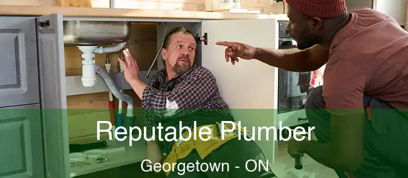  Reputable Plumber Georgetown - ON