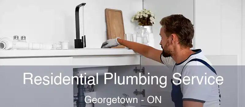 Residential Plumbing Service Georgetown - ON