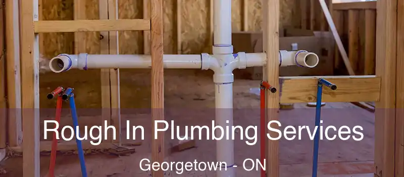  Rough In Plumbing Services Georgetown - ON