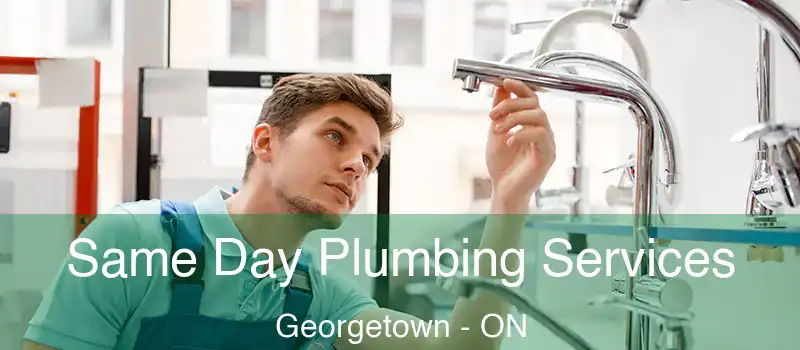  Same Day Plumbing Services Georgetown - ON
